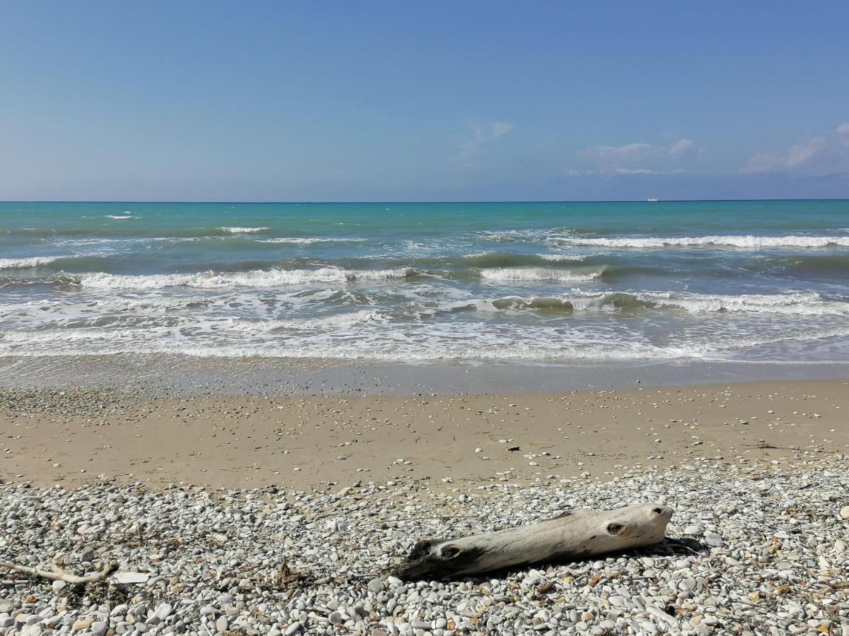 Agapi Studio Acharavi A 50M De La Mer, 400M Du Centre Ville Bagian luar foto