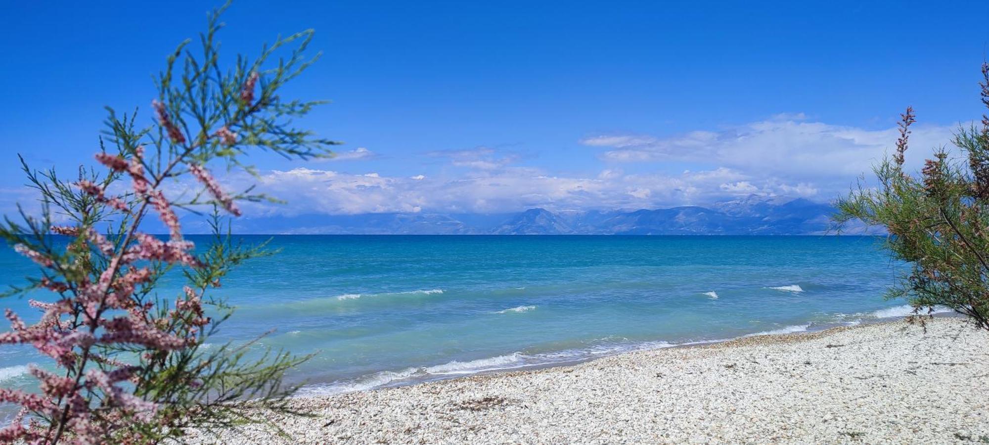 Agapi Studio Acharavi A 50M De La Mer, 400M Du Centre Ville Bagian luar foto